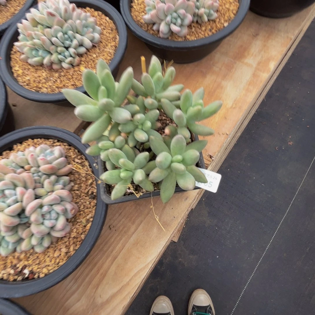 爱**己w w w w w w w w w 5