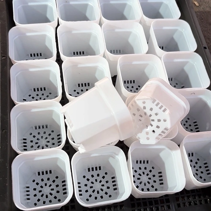 6.5公分白方盆120个