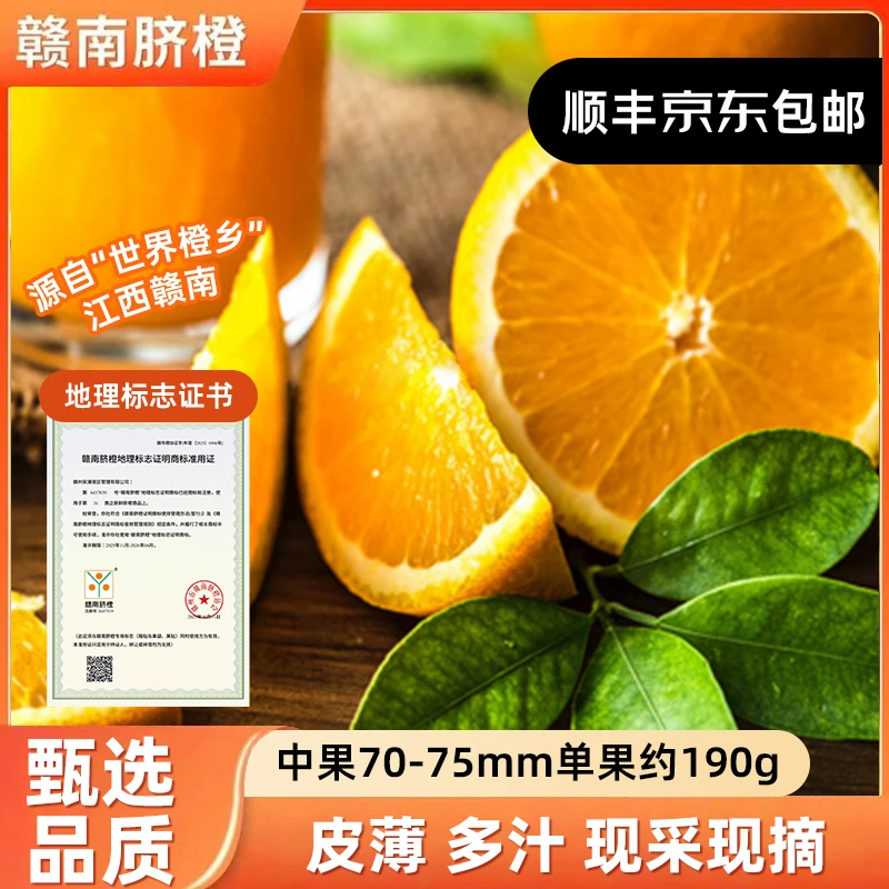 【中果20斤装】江西赣南脐橙现摘橙子产地直发 单果160g起 整箱包邮