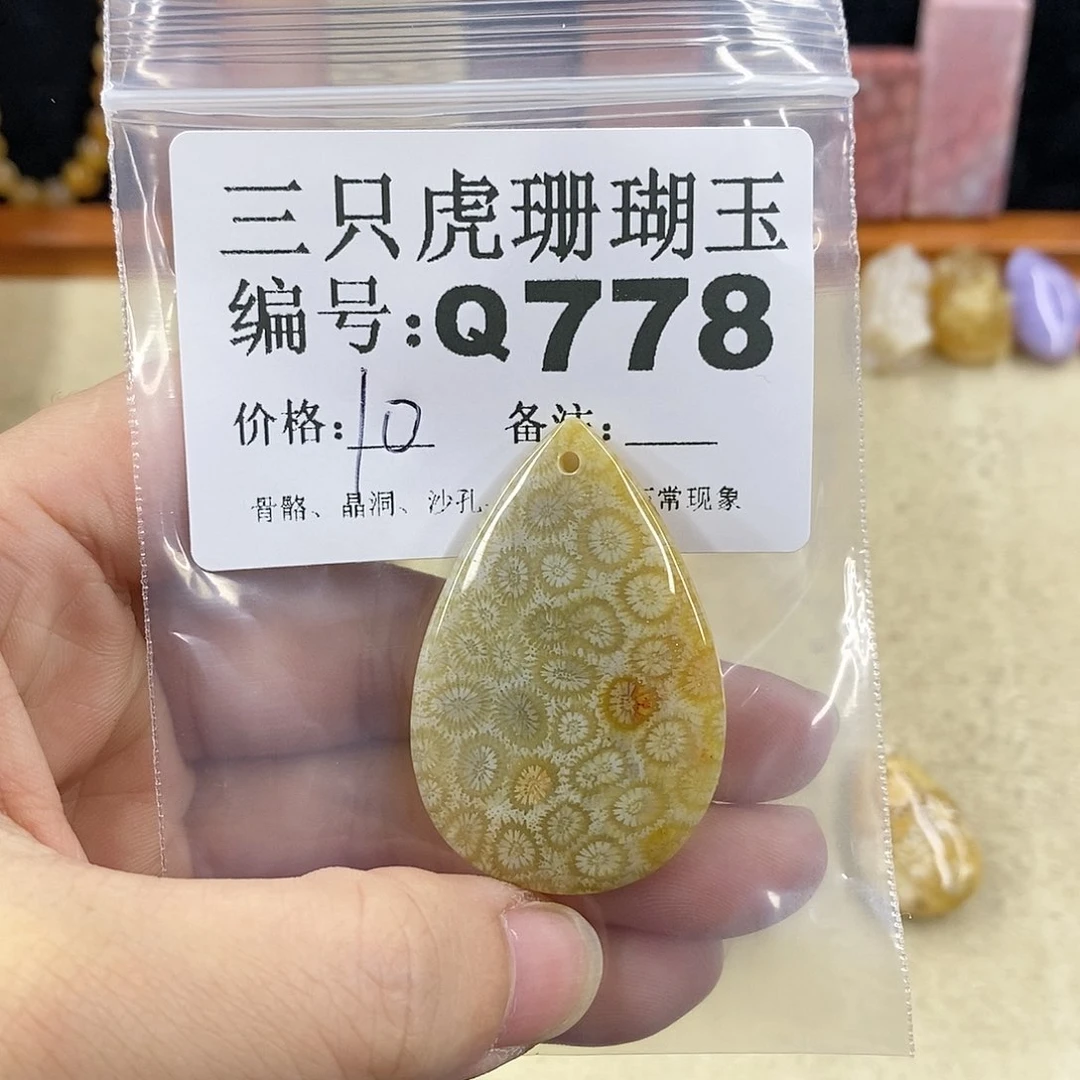 硅化珊瑚（珊瑚玉）1未镶嵌Y**彩