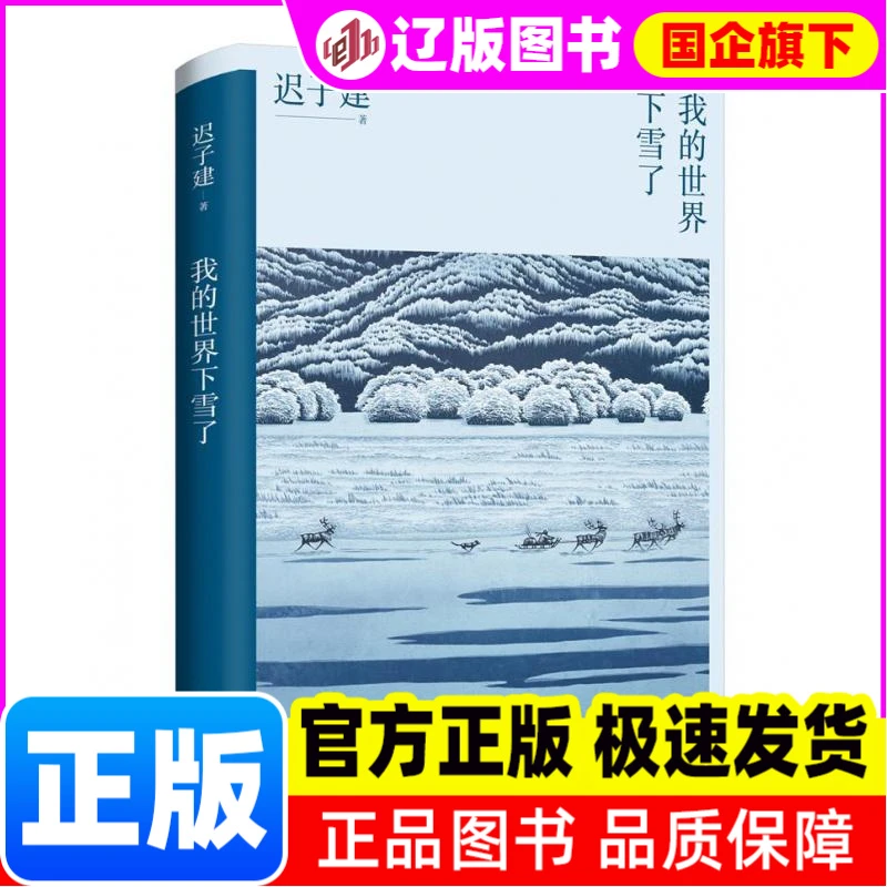 【新华正版】 我的世界下雪了（温暖与百感交集的旅程，茅盾文学