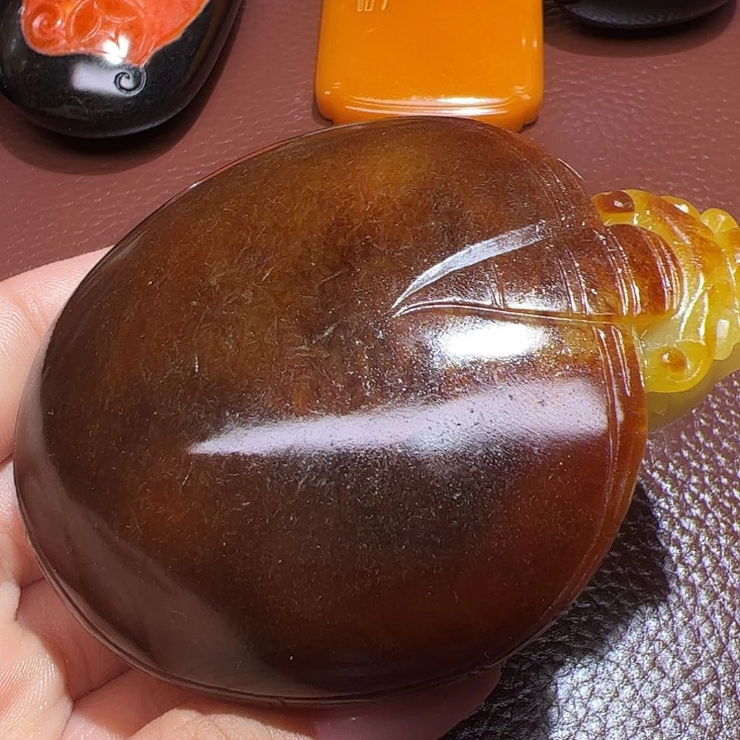 ！***！龙龟拍一发一一物一图