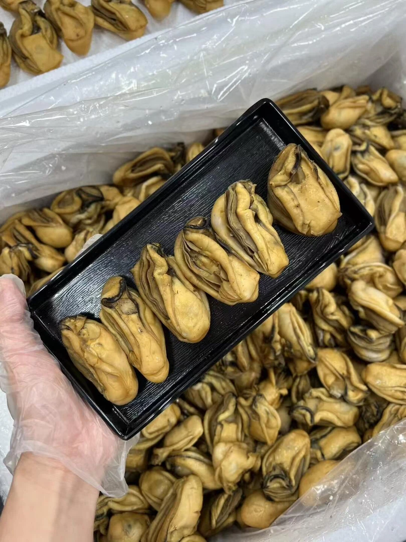 【煲汤必备】自然晒制金蚝干 蚝裙金黄 肉质厚实不干瘪  5