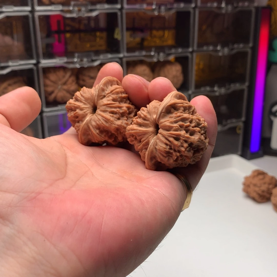 舞***督桃核吊坠龙洞峪666888
