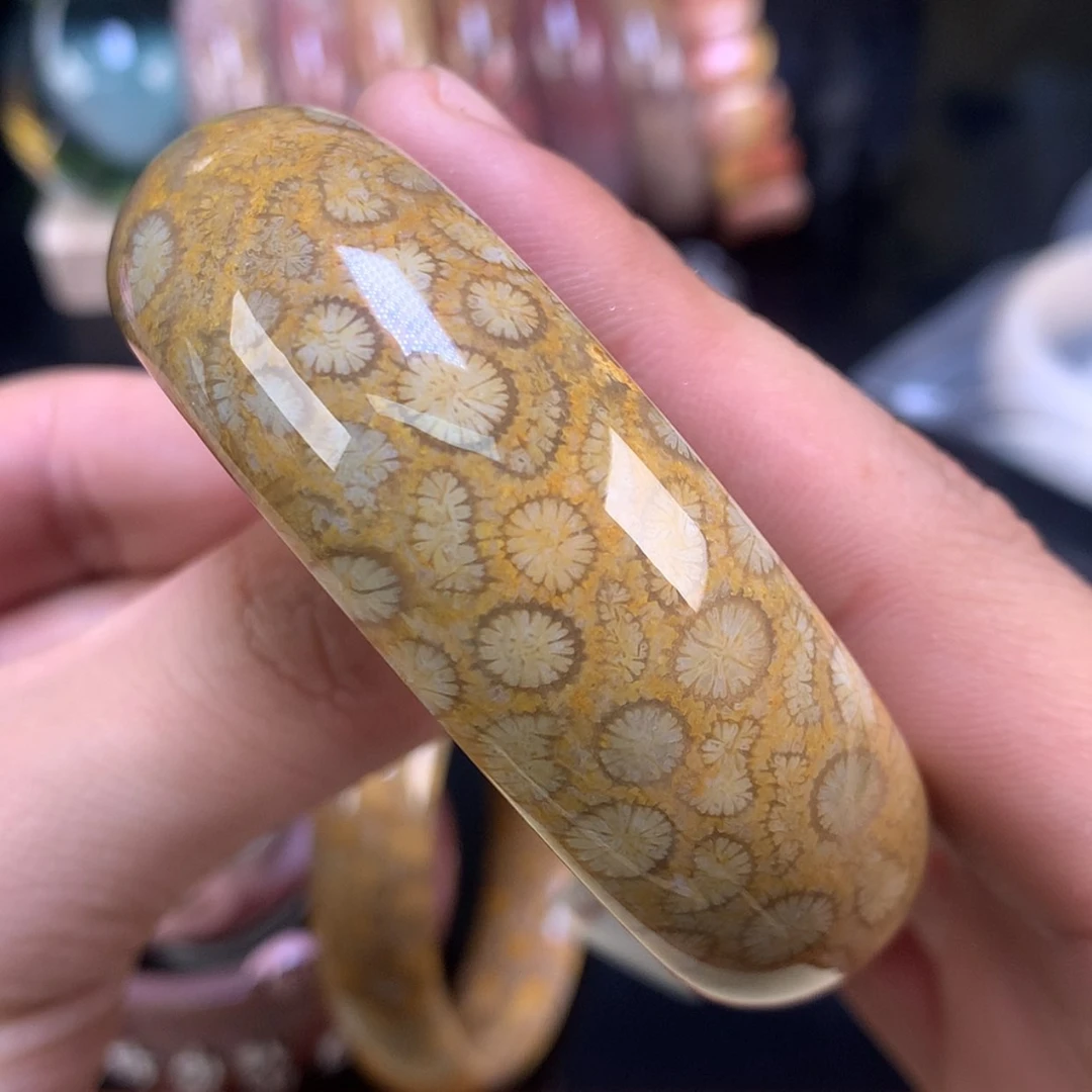 【闪购商品】颈饰未镶嵌硅化珊瑚（珊瑚玉）22号56.8圈金豹纹