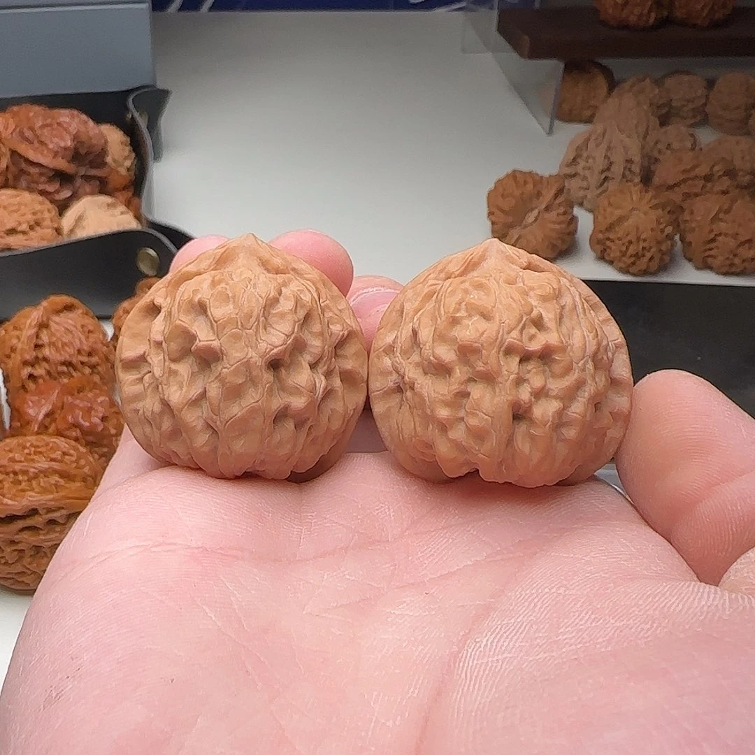 A32号蓟县火桃37-37-35