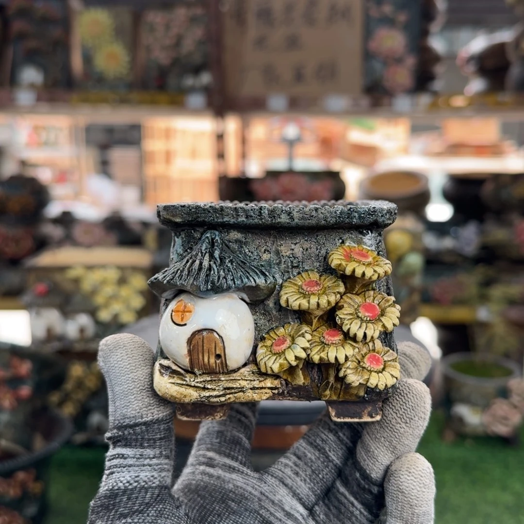 红陶多**子内口6高7左右