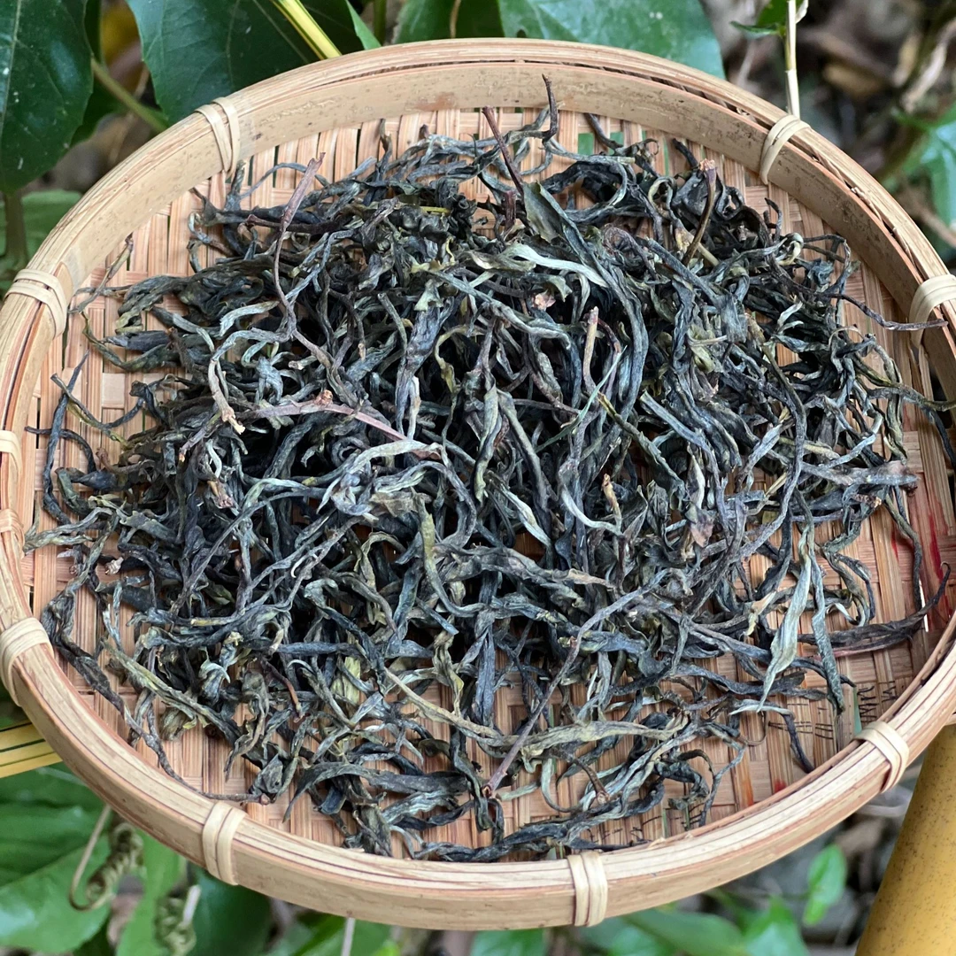 2025年 麻黑石门坎古树纯料头春 普洱生茶50g罐