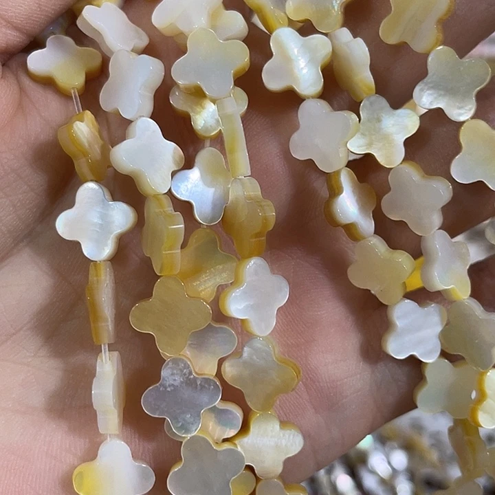 贝壳非金属一条10mm黄金贝四叶草