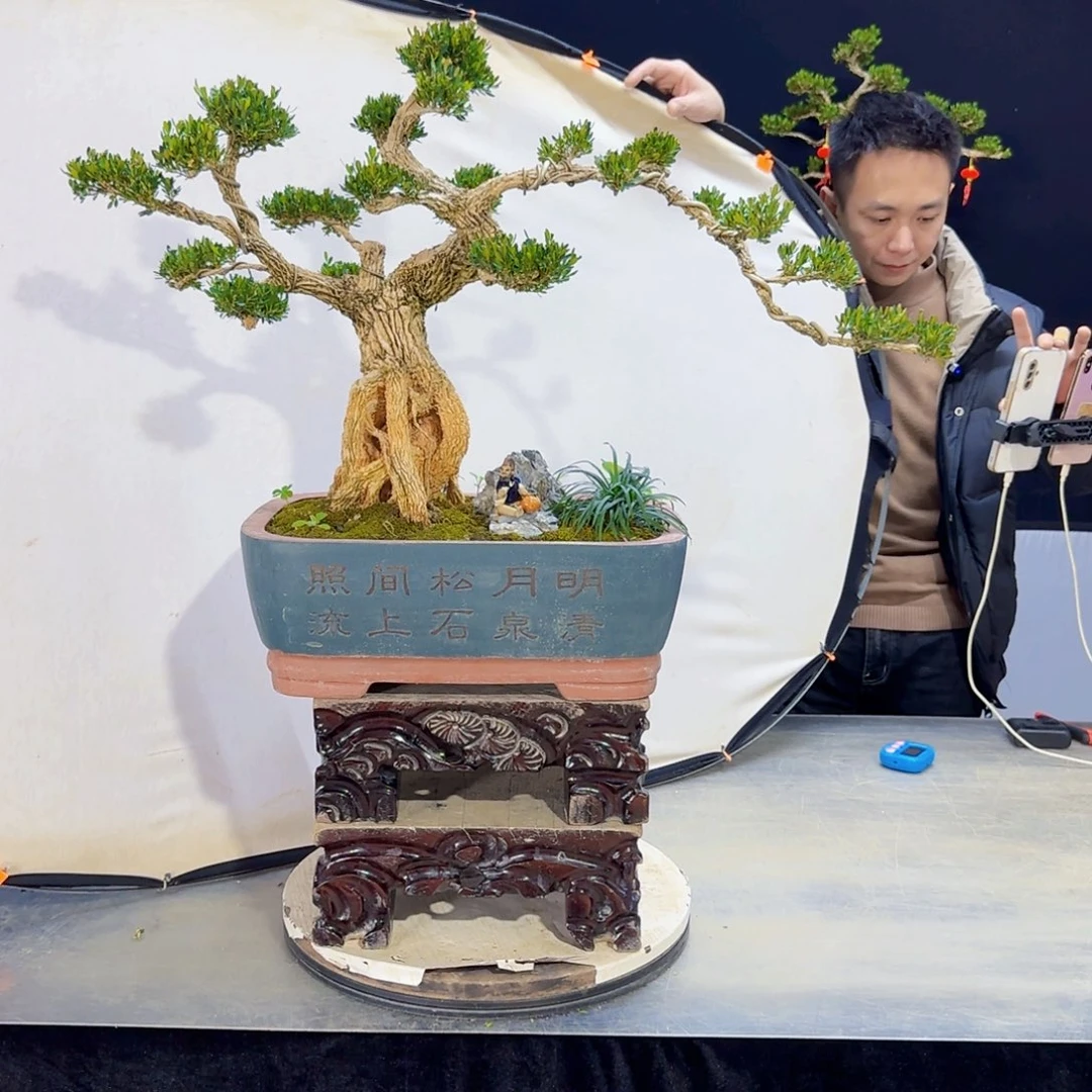 高端盆景艺术作品