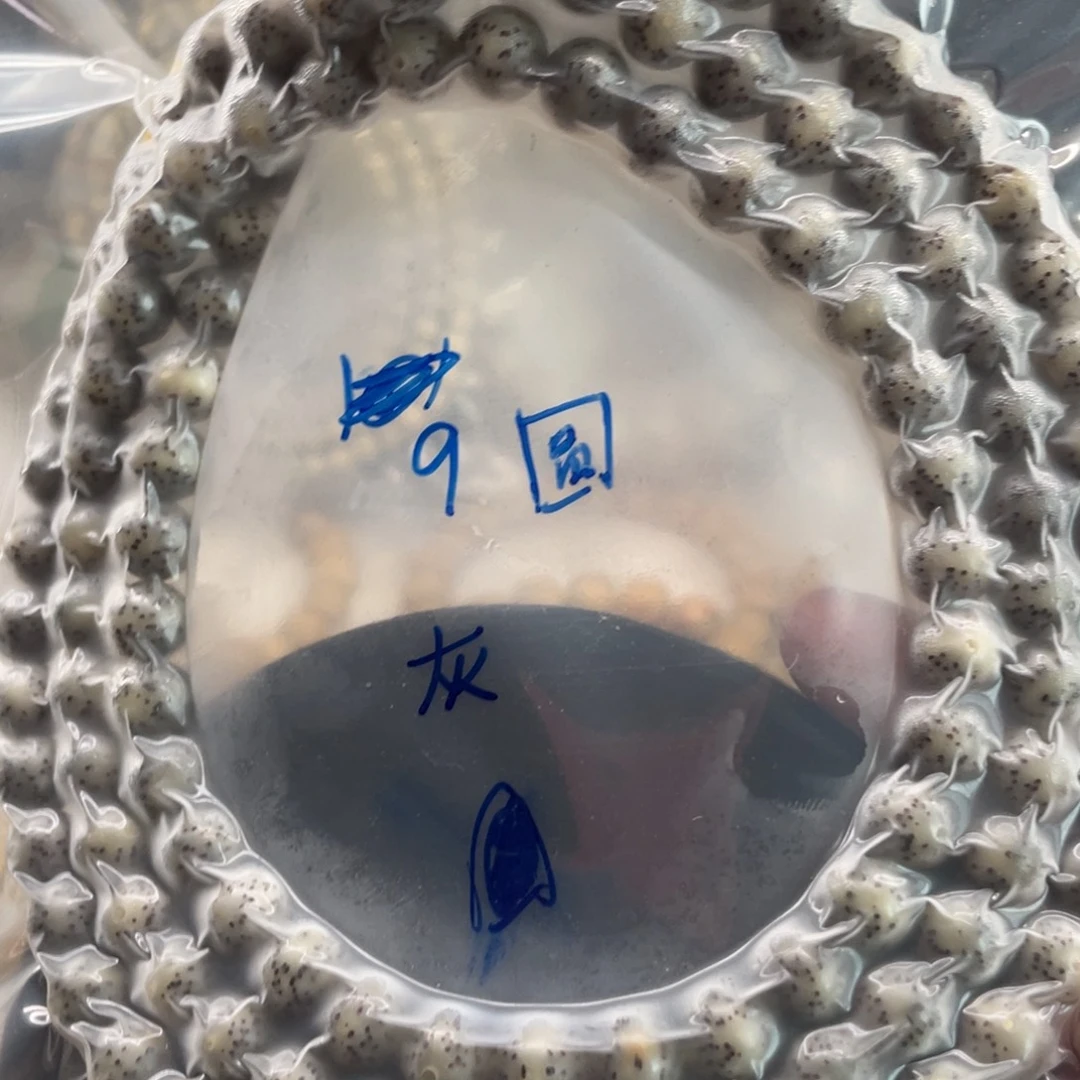 吊坠星月菩提9圆珠