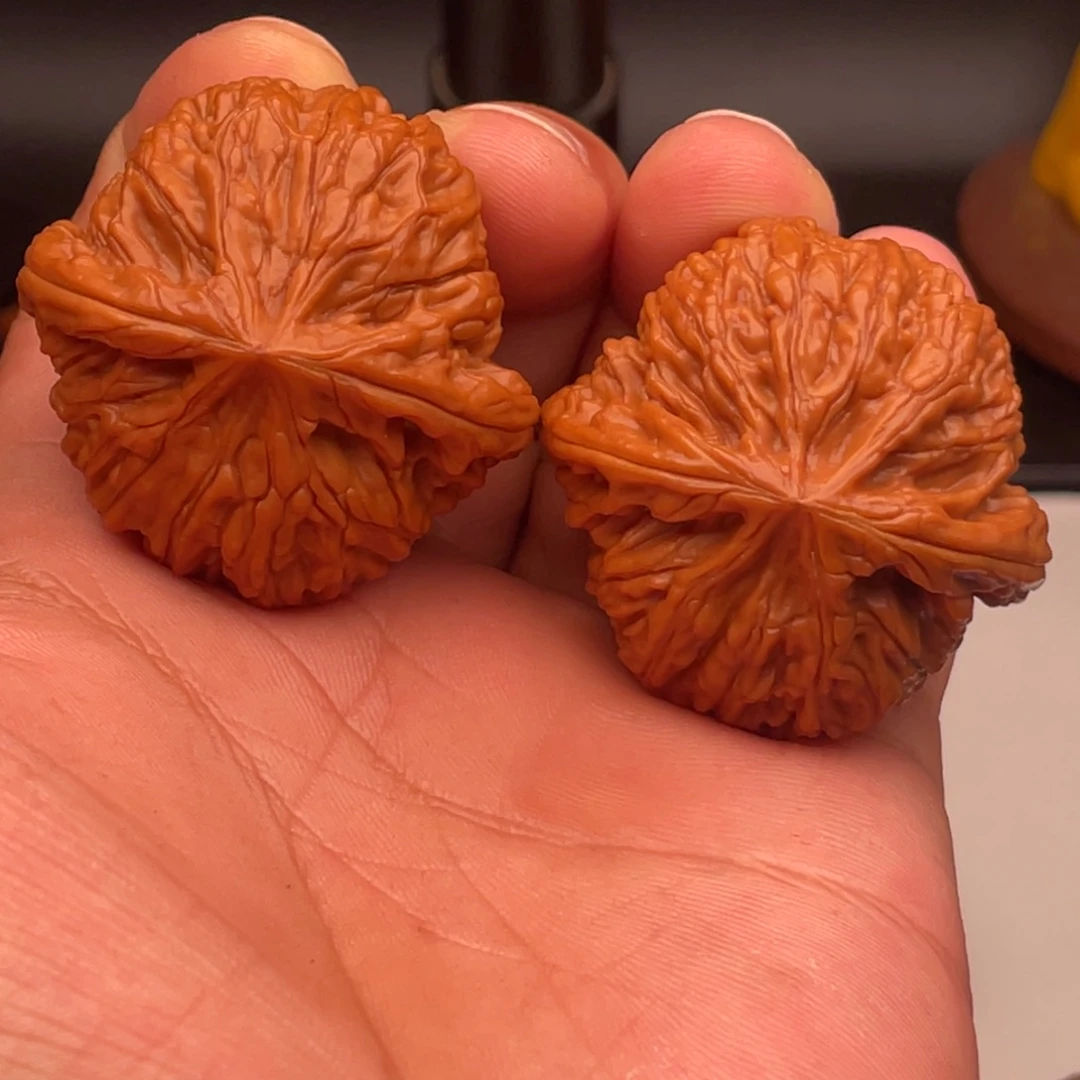 文玩核桃吊坠43全品原树蛟龙