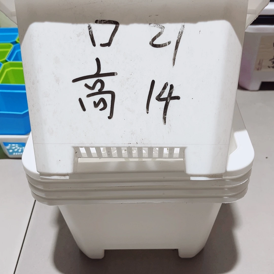 中厚口21高14白盆5个无托