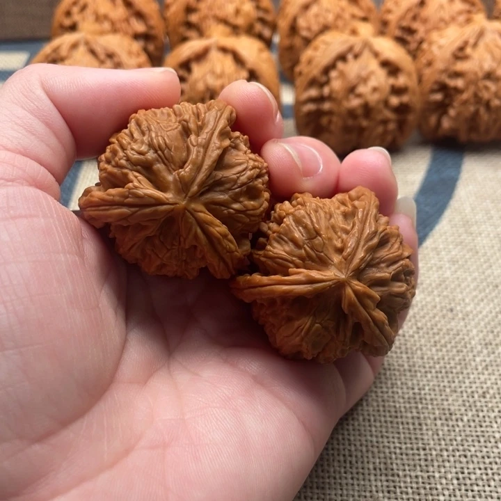 心***白核桃白狮子37核桃