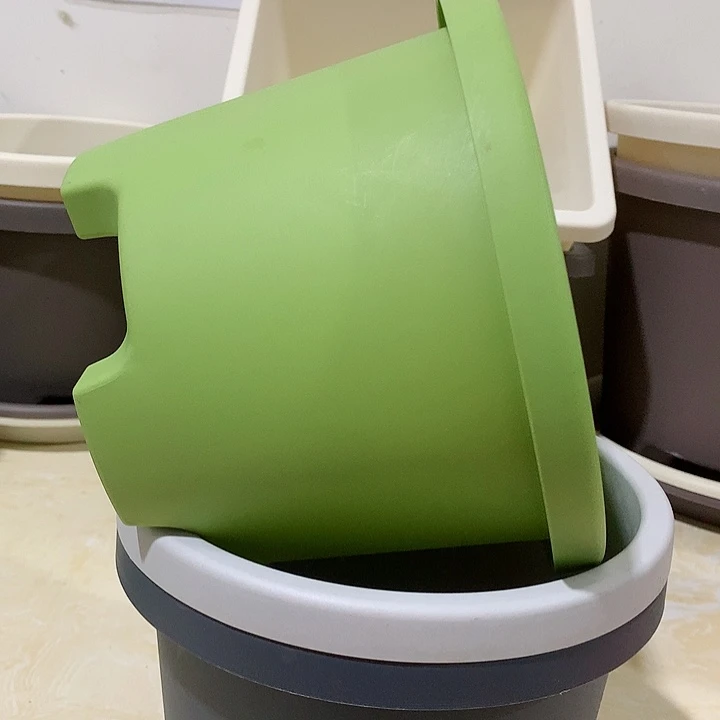 球根口21果绿5个无托