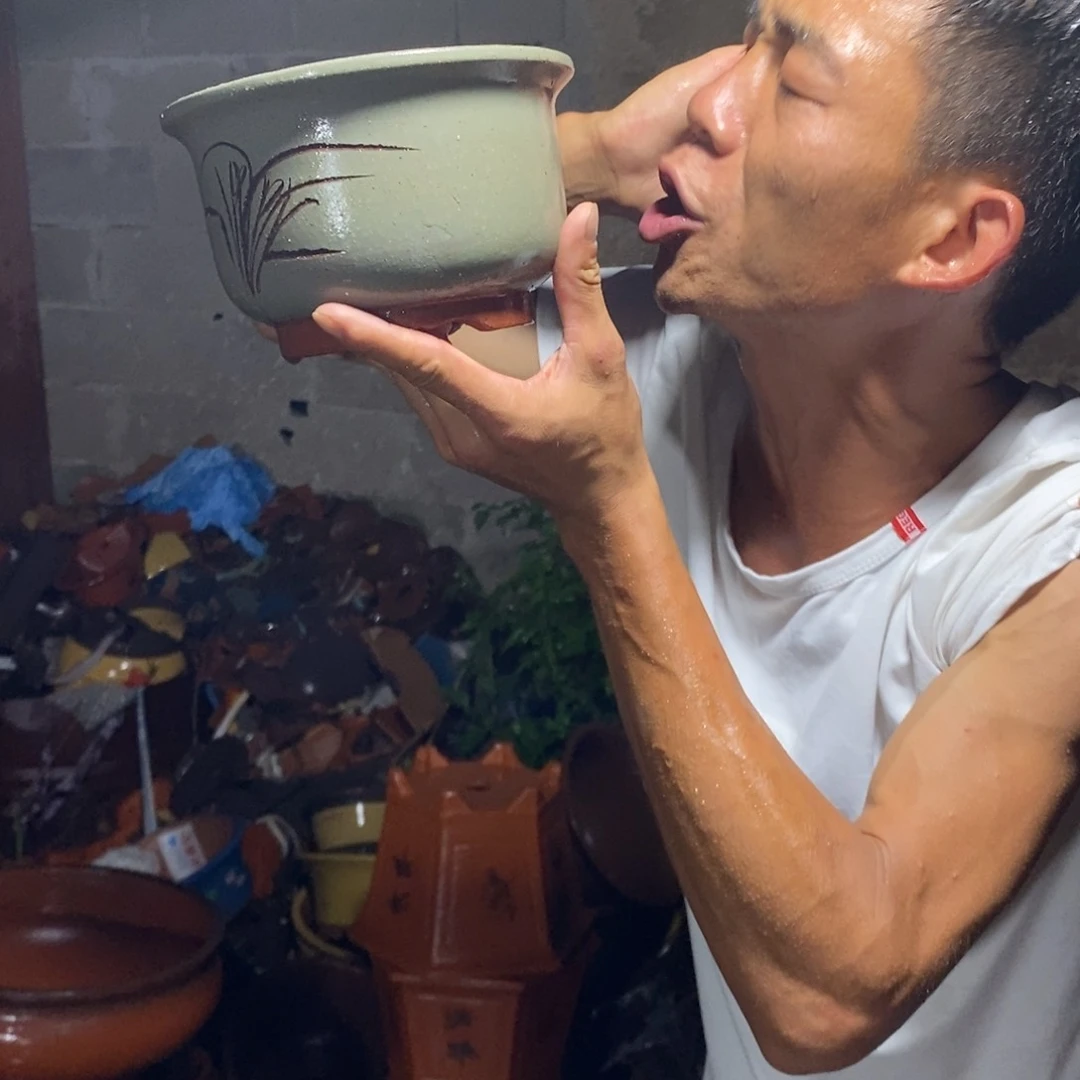 紫砂花盆紫砂紫砂紫砂紫砂
