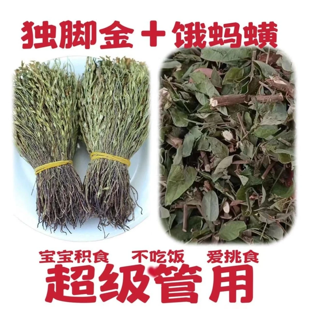 精选独脚金饿蚂蝗汤天然新鲜中草药煮水煲汤不消化积食汤