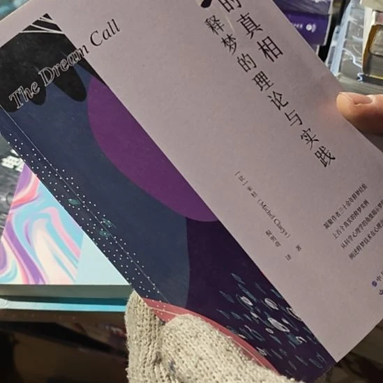 梦的真相平装库存书没塑封