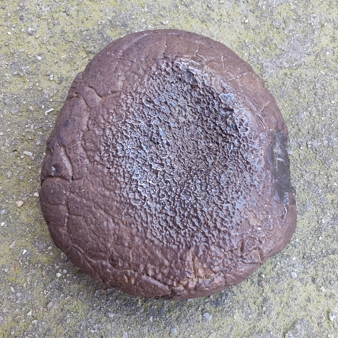 中强磁性天然未打磨中铁镍铁陨原石