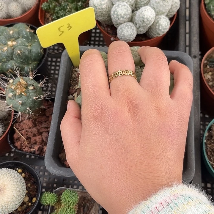 我也不知道我为什么要这样