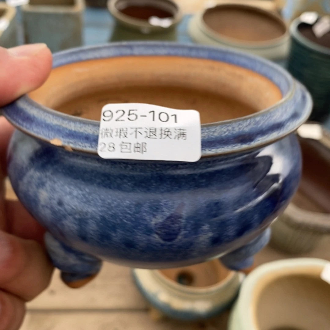 101号花盆内9高8.5微瑕