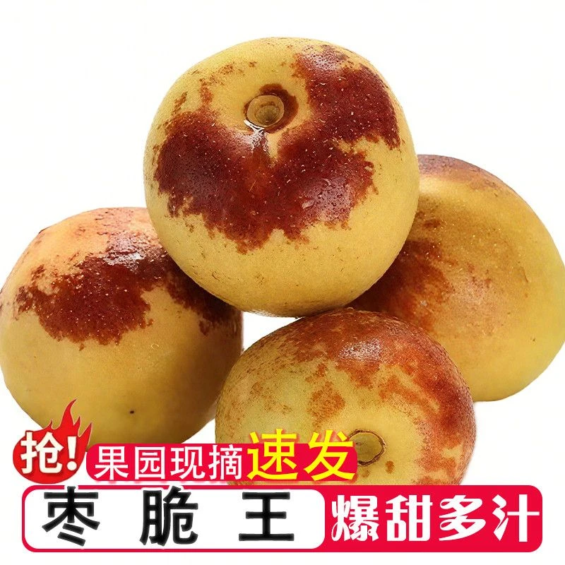 山东沾化冬枣新鲜大枣冰糖脆甜5斤包邮水果当季枣子整箱