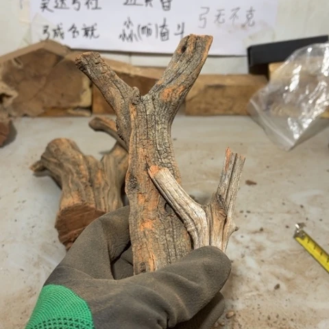 大果紫檀（缅甸花梨）霉*腐