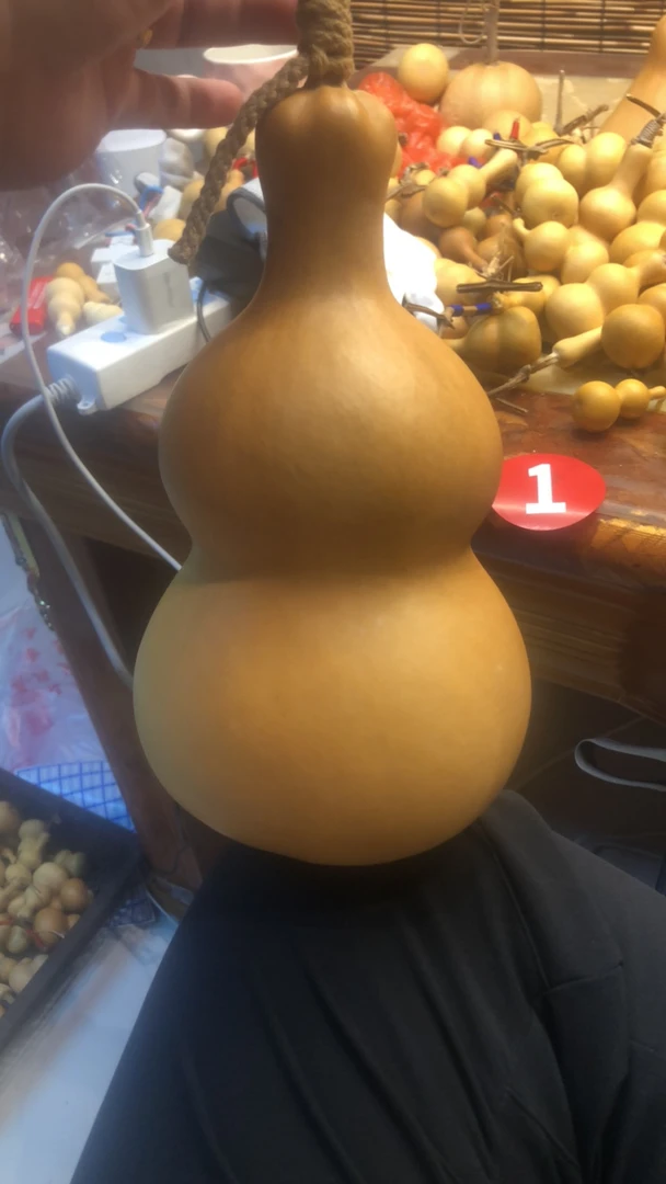 葫芦种子可以直接购买