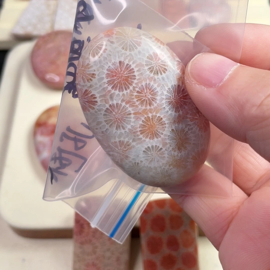 【闪购商品】未镶嵌吊坠(赠链)硅化玉野**子