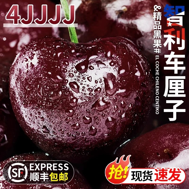 【顺丰今天拍明天到】智利进口空运车厘子鲜头茬3J-4JDD加大加黑800g宝宝孕妇内附果径卡ZZ桑提娜智利共和国