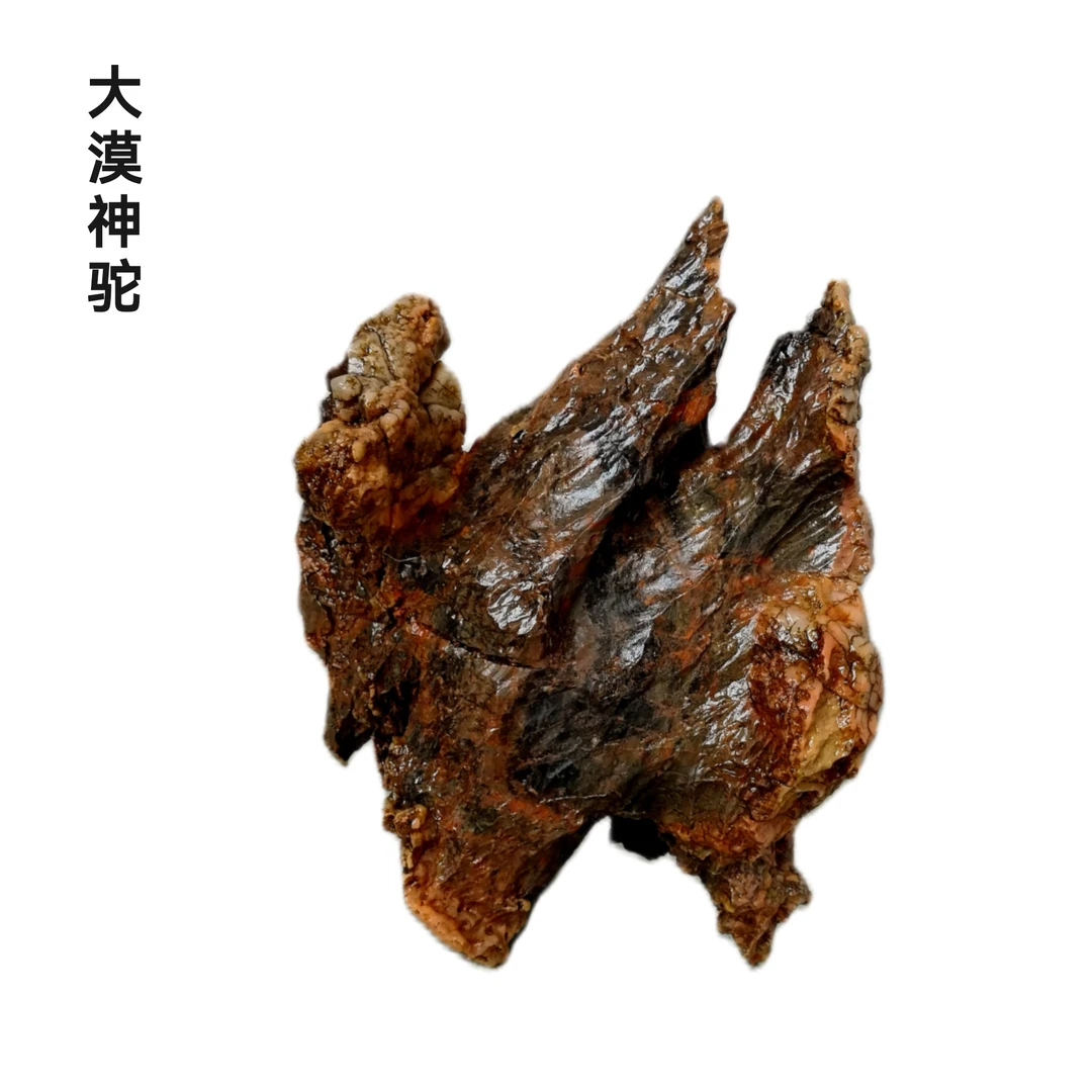 【神驼】戈壁风凌石。大漠骆驼，心中有沙漠，眼中有绿洲。