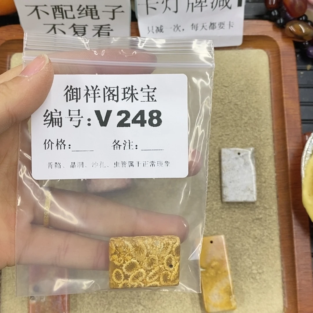 硅化珊瑚（珊瑚玉）颈饰未镶嵌蔚**空