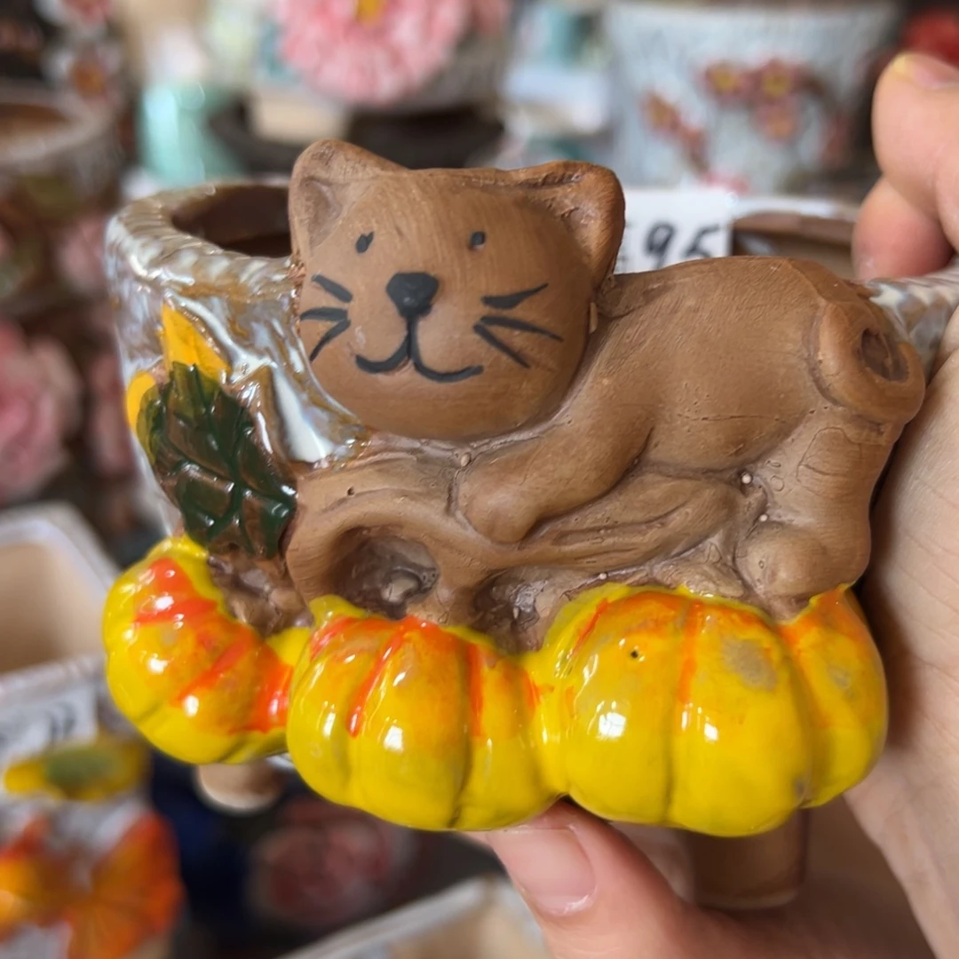 多肉花盆，满20米发货爱退款拉黑