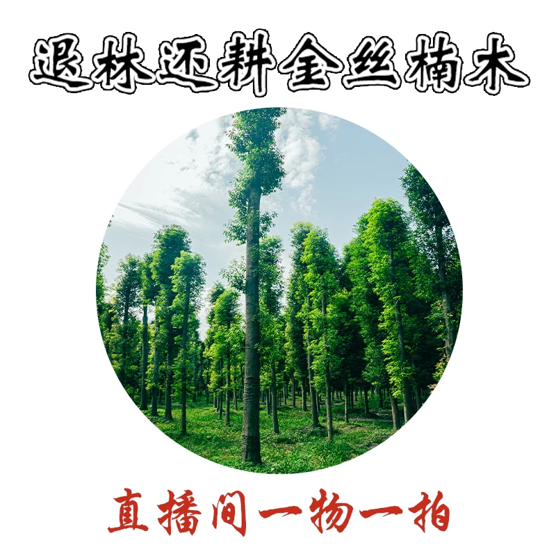 金丝楠木直播间改价专用链接以直播间为准