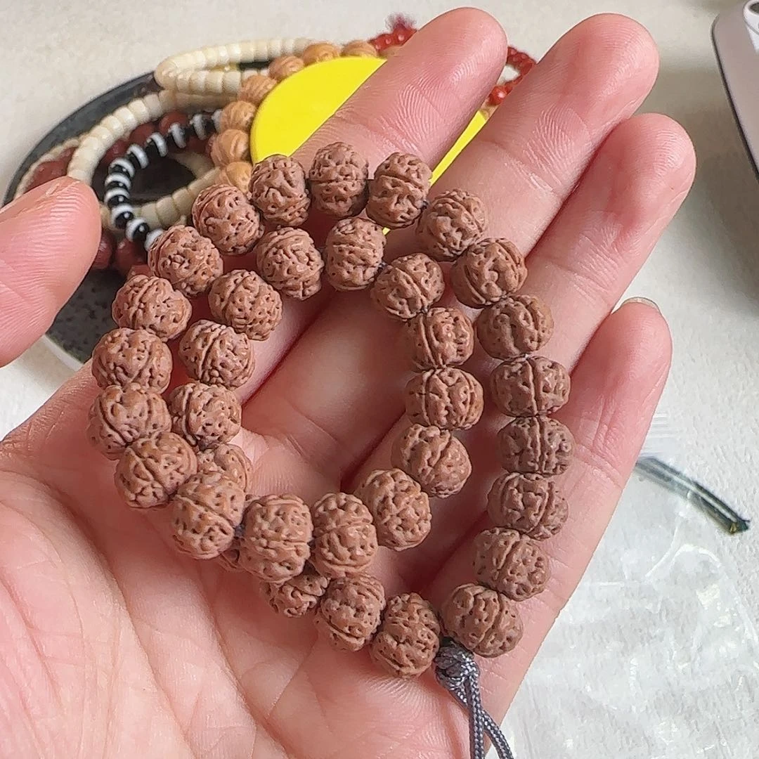 金刚菩提吊坠10尺寸树王