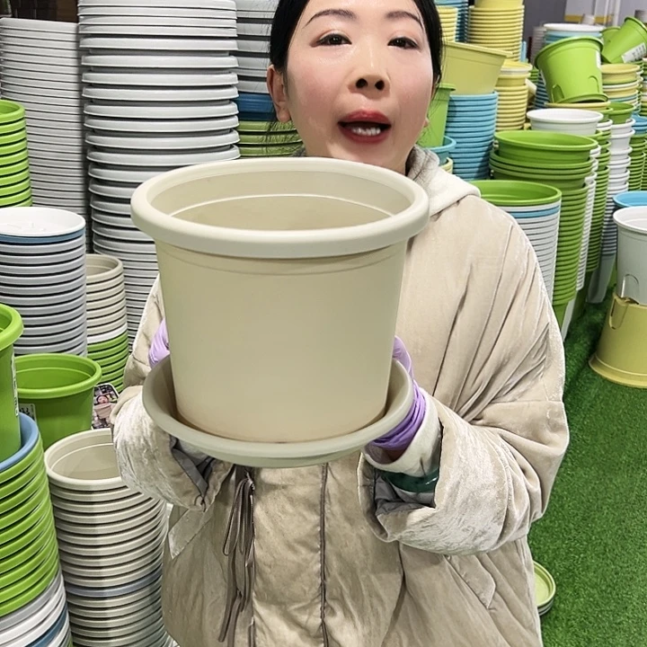 特价3号四季口21高18米色10只带托