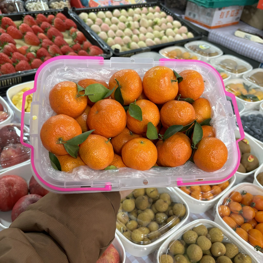 【年货必备】沙糖桔4斤/提