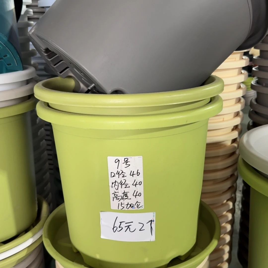微瑕9#口径46高40无拖果绿3个