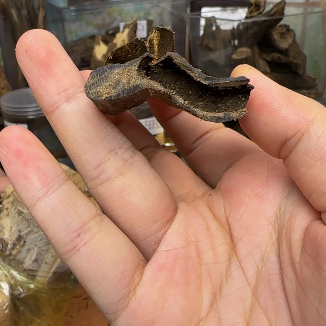 沉香碎屑沉香7克31