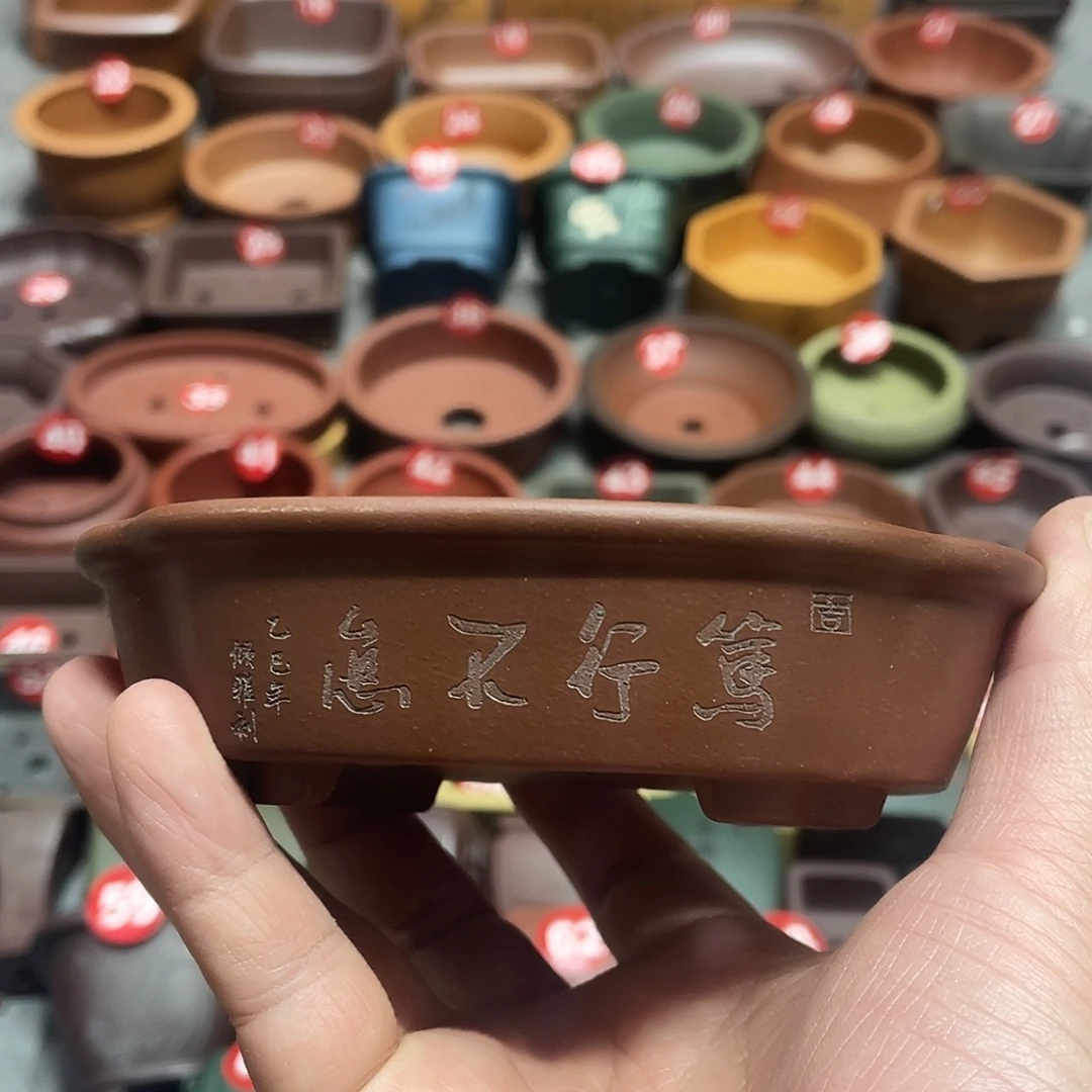 紫砂小盆11.5*10i2.5