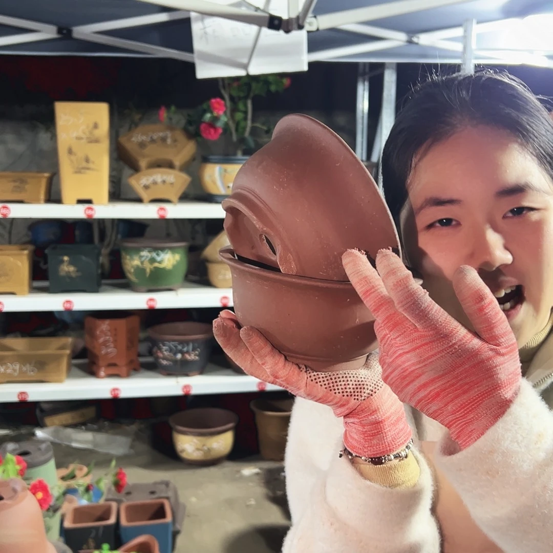 14+14查林小碗花盆花盆