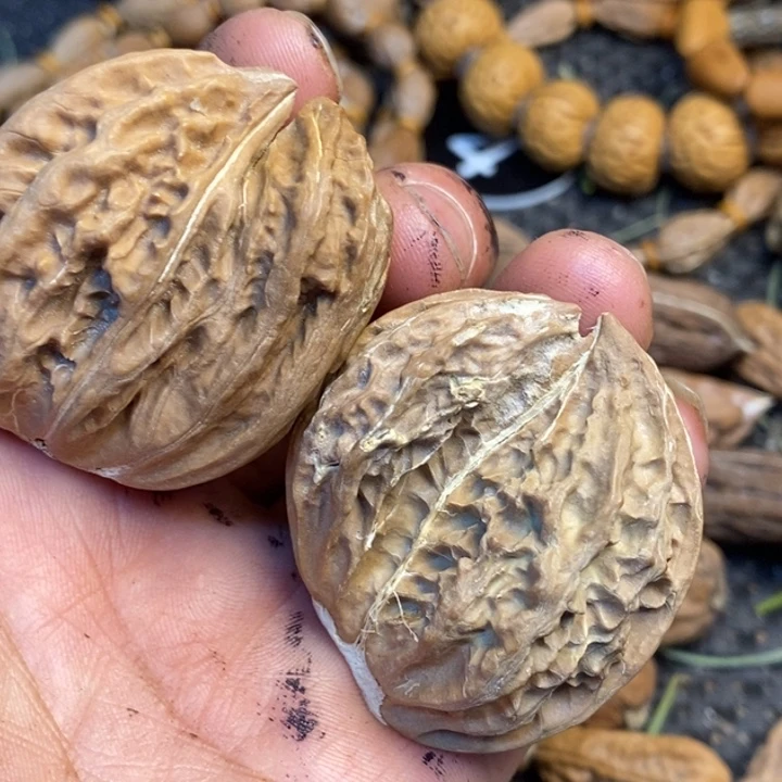 文玩核桃吊坠有遐思253