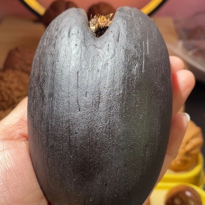 桃核把件海椰黑金刚