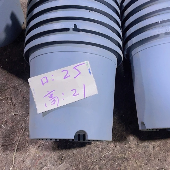 树脂雪花4号25口径蓝色6个
