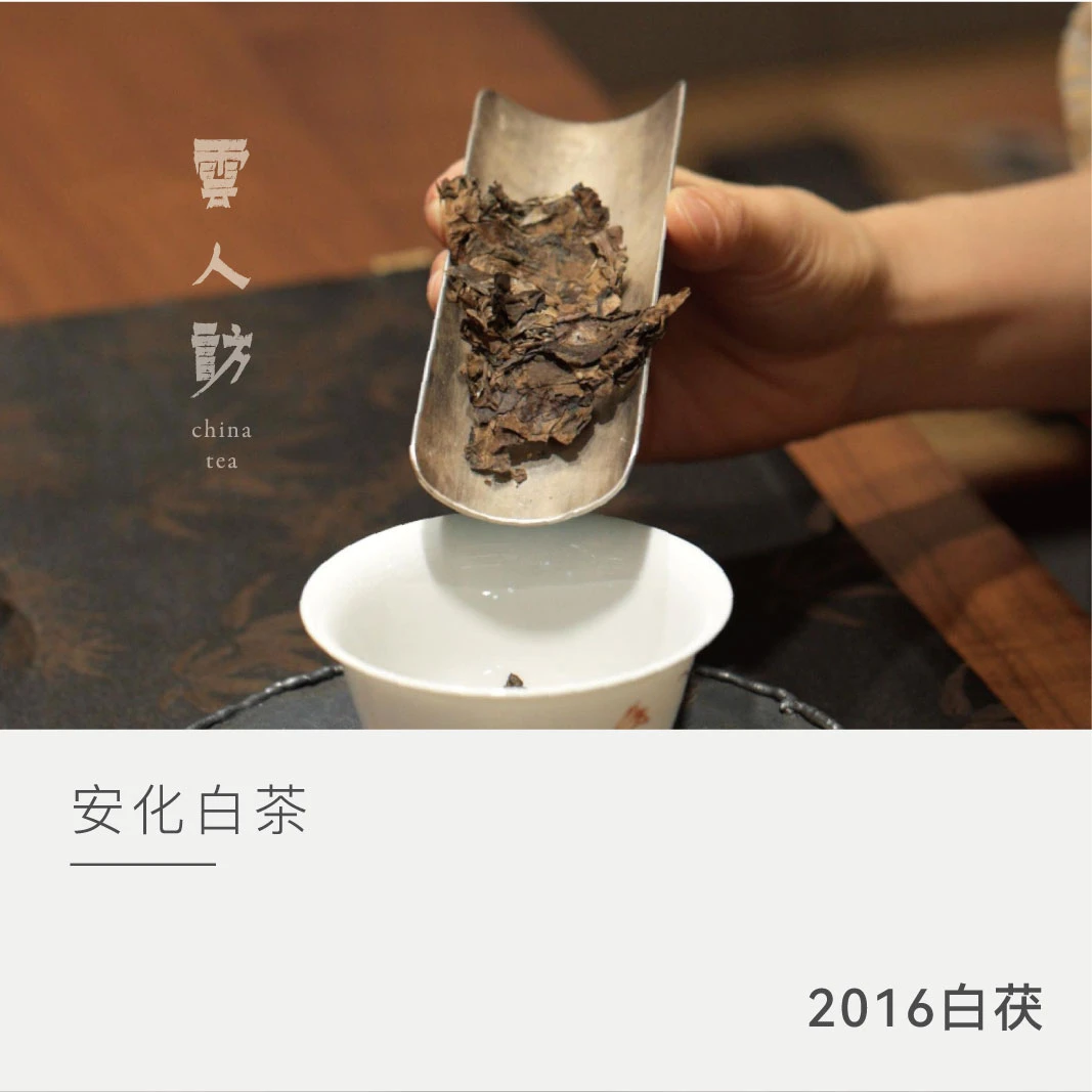 【2016白茯】安化白茶 茯茶 云人访严选