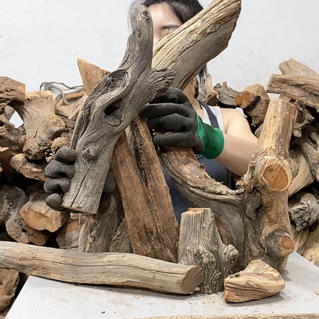 【闪购商品】柏木惠**业我们都是好孩子呀