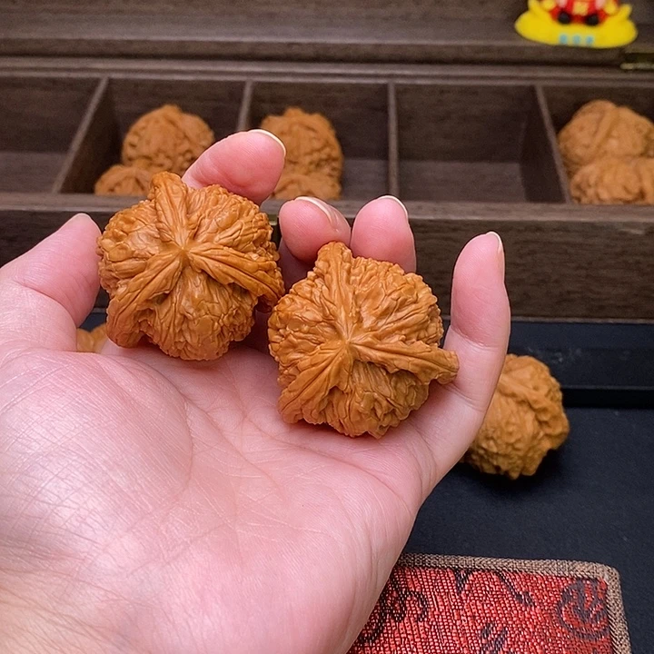 春***来把件文玩核桃白奔