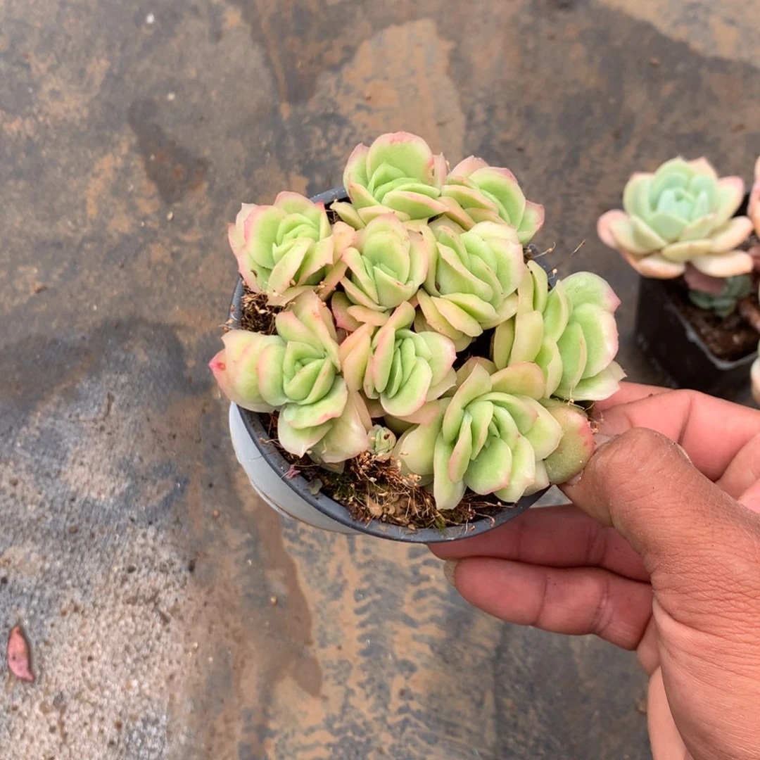 我们就能成为好老师和