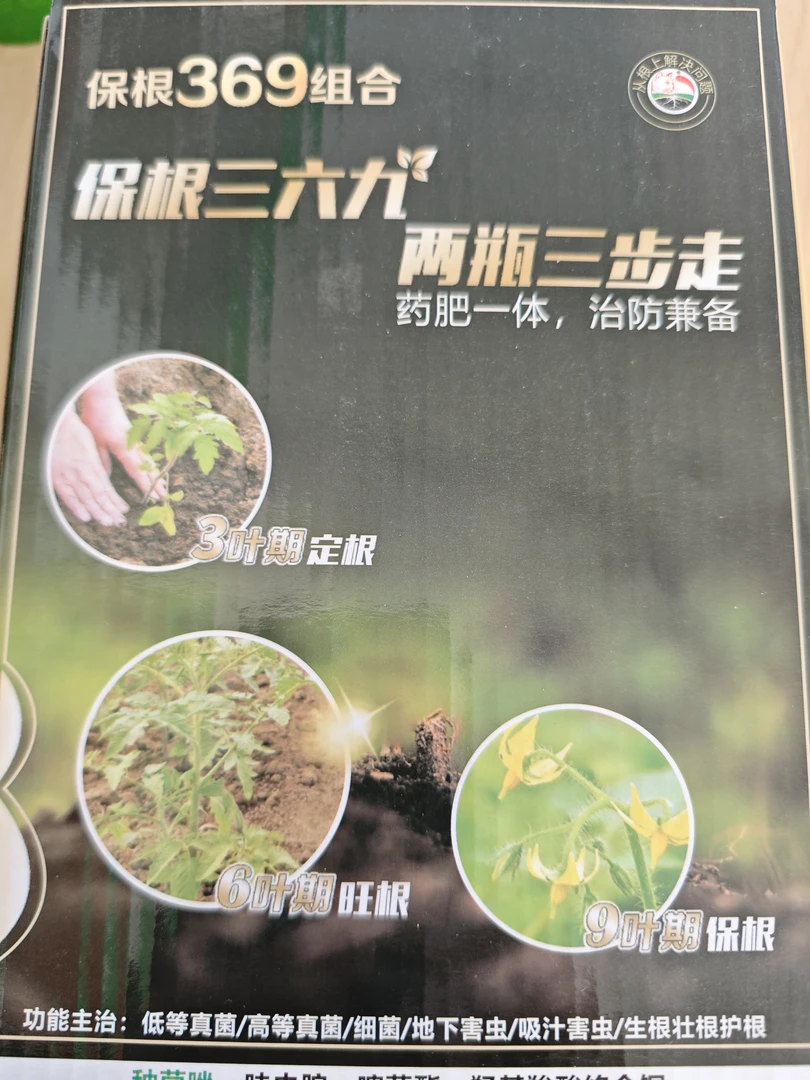 大棚西葫芦预防根腐病快速生根提质增产叶面肥