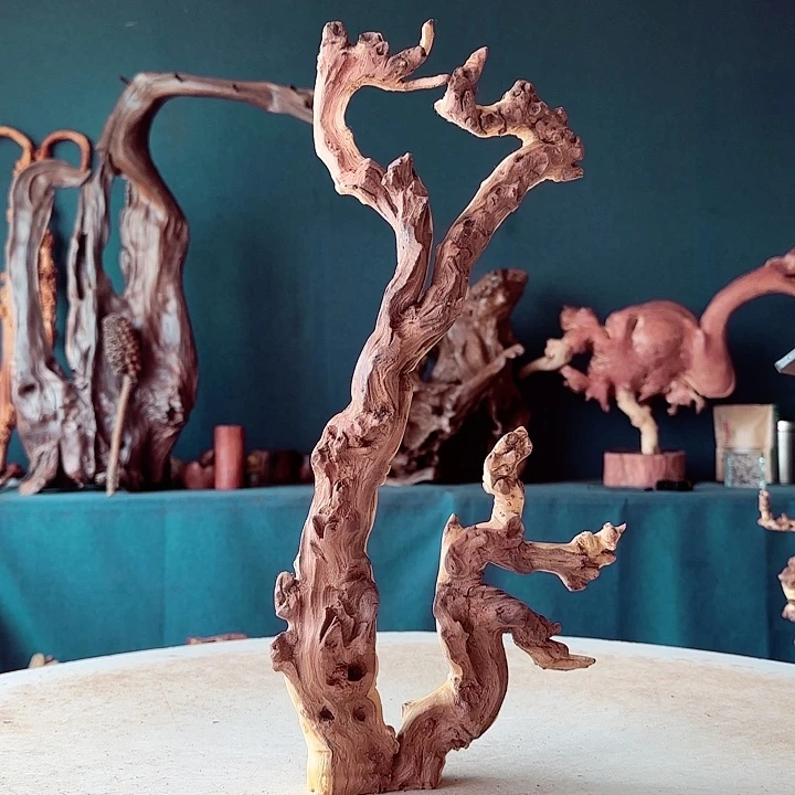 黑果木三*785金丝红木羊蹄甲半成品